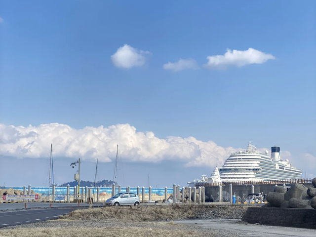 Jeju: A Foodie's Paradise! 🍜🐷🦀