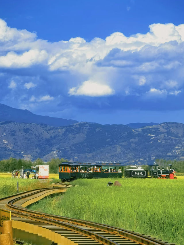 🌾 Golden Wheat Fields + Blue Skies = Your Next Travel Photo Masterpiece in Dali