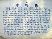 🌿 Xihui Garden Heritage Area — Where Nature, History, and Soul Collide