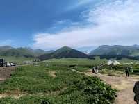 Nalati Scenic Area：Lush Green Grasslands