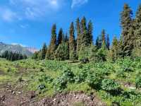 Fairy Lake: Crossing Mountains to Find the Lake