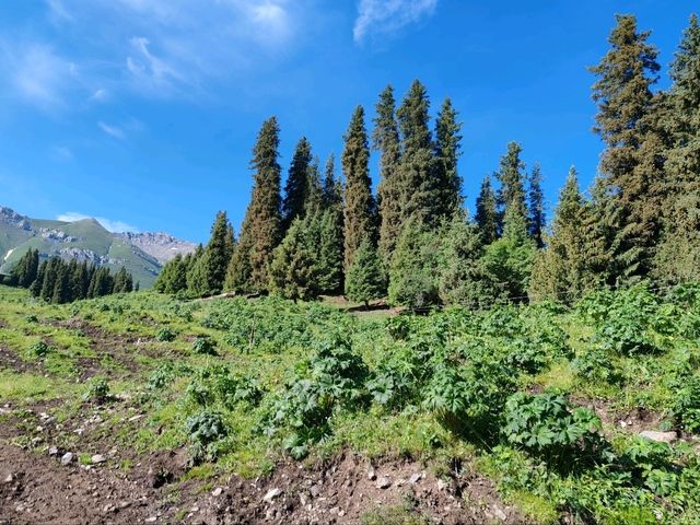 Fairy Lake: Crossing Mountains to Find the Lake