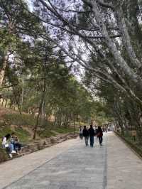 Day 2 in Chongqing – "สายแอดเวนเจอร์ในเมืองลอยฟ้า"