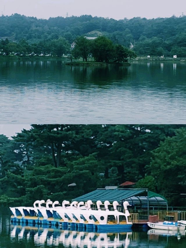 박달재, 전설과 자연이 어우러진 제천 여행기