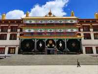 Getting Lost in Litang Wild Vibes