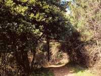 A Rewarding Ascent to Panoramic Coastal Views