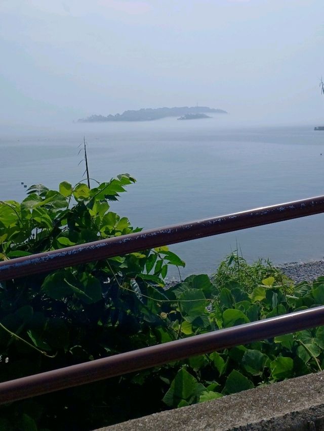 오션뷰 명소로 딱!