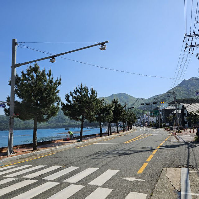 🌊 바다와 자연의 조화, 거제도 2박 3일 여행코스