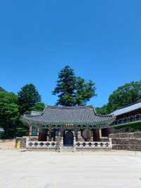 마음이 정화되는 곳🌿