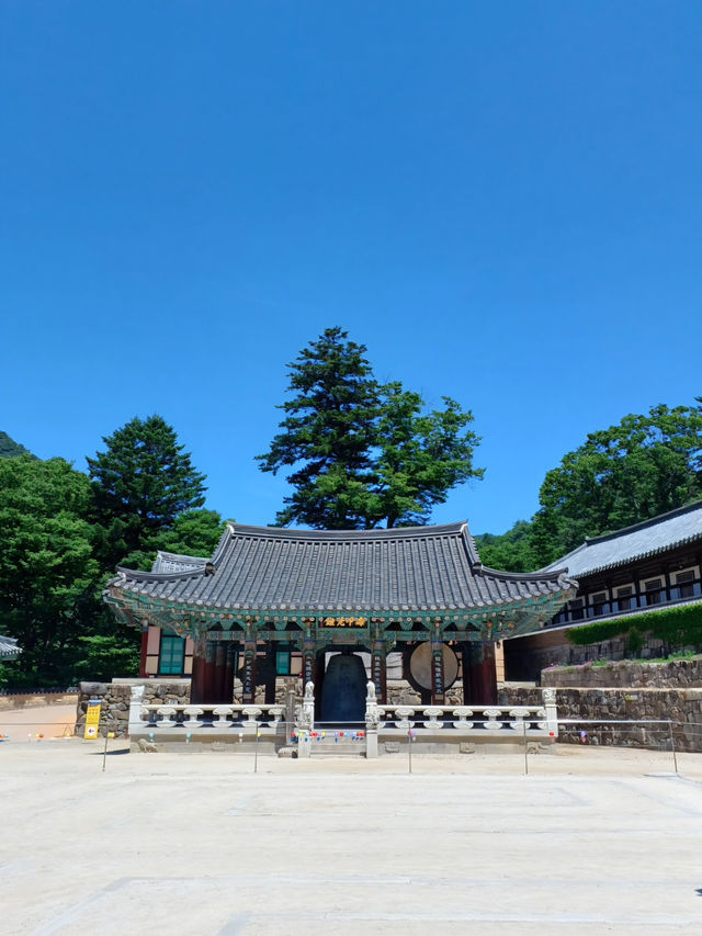 마음이 정화되는 곳🌿