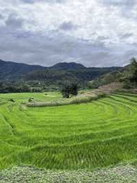 🌾 Medan’s Rice Terraces Are Nature’s Quiet Masterpiece