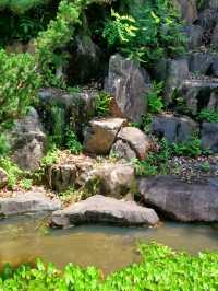 진주 여행 가이드 | 진주 수목원 (Jinju Arboretum) 