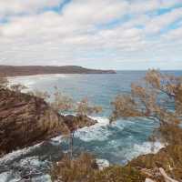 **🌿🏖️ *Noosa National Park: Sunshine Coast’s Coastal Paradise* 🐬🌊**  