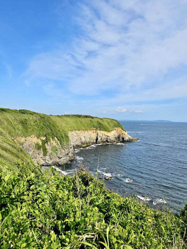 The Wonderful Jogashima Park in Yokosuka