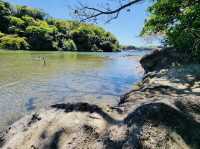 A Beautiful forest located near the Miura Peninsula in Kanagawa
