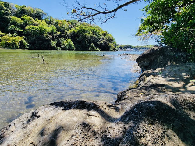 A Beautiful forest located near the Miura Peninsula in Kanagawa