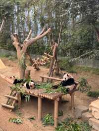 ๊ณ์ ์ด ๋ด๊ธด ์๋ฆ๋ค์ด ์ ์ & ํธ์๋ฏธ์ ๊ด & ๊ท์ฌ์ด ํ๋ค๋ฅผ ๋ณผ ์ ์๋ ์ฉ์ธ ์๋ฒ๋๋ ํ๋ค์๋