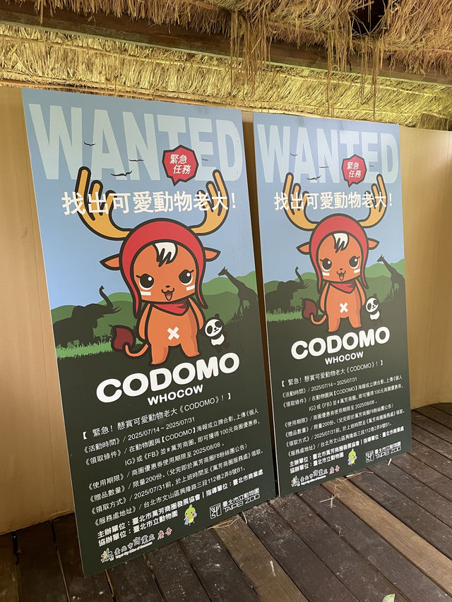 Taipei Zoo Adventure