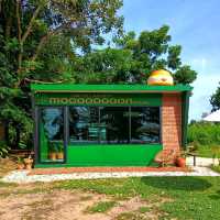 คาเฟ่สีเขียววิวทะเล