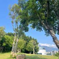 ✨ 埌東公園✨舒適綠地🌳