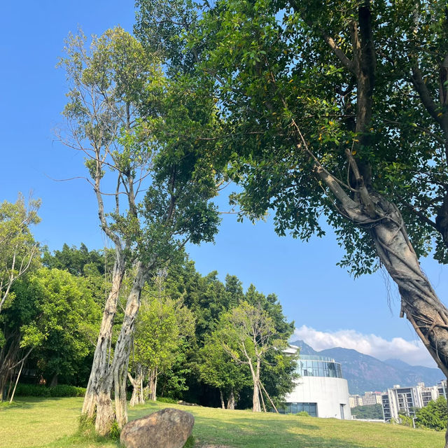✨ 埌東公園✨舒適綠地🌳