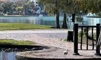 奧蘭多伊歐拉湖邊公園