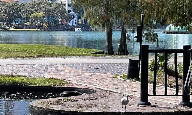 奧蘭多伊歐拉湖邊公園