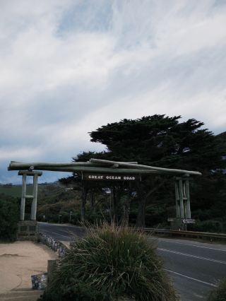 2D1N Great Ocean Road Adventure: Koalas, Coastal Views & Hidden Gems 🐨🌊