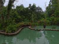 ป่าต้นน้ำบ้านน้ำราด