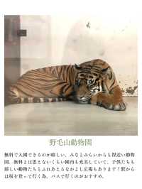 夏休みまだ間に合う！首都圏から日帰りで行ける動物園・水族館