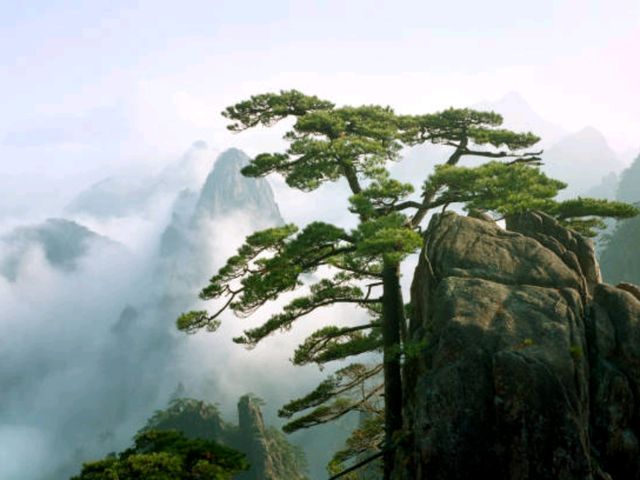 🏞️ 황산: 천상의 산으로 가는 길
