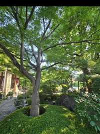 【大阪】堺市　月蔵寺(がつぞうじ)