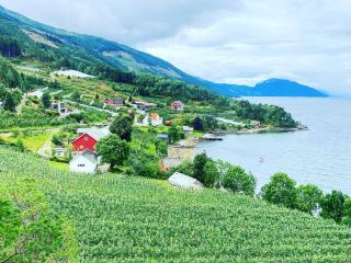 Experiencing the Vast Wilderness of Hardangervidda
