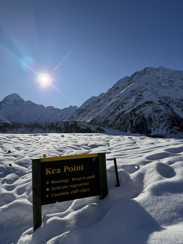 ニュージーランド🇳🇿 マウントクック　キアポイント🗻