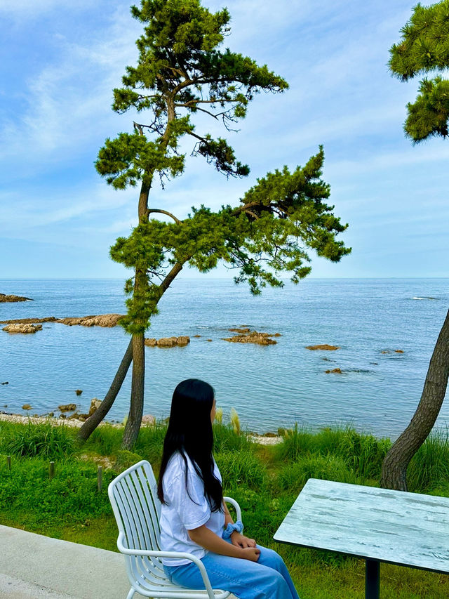 부산 기장 오션뷰 카페 OFFO☕️