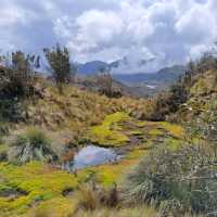 Exploring the Wild Beauty of El Cajas National Park
