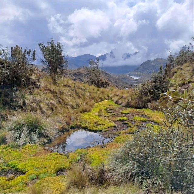 Exploring the Wild Beauty of El Cajas National Park