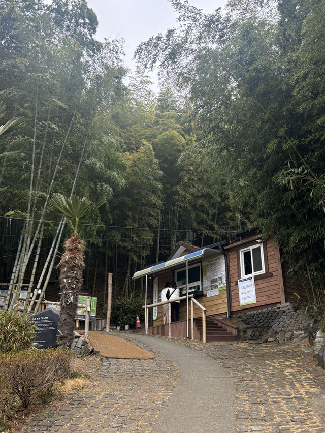 거제맹종죽테마파크