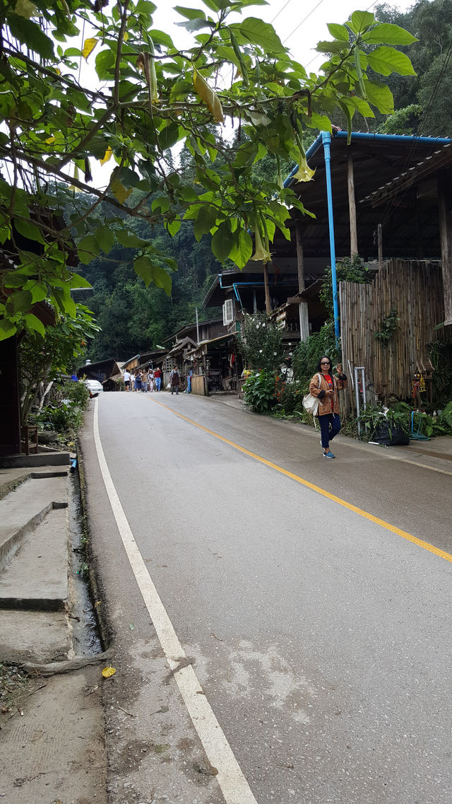 🌿 Mae Kampong: A Hidden Gem in Chiang Mai’s Misty Mountains