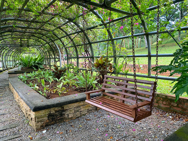 Bougainvilaa Trail Putrajaya – A Colorful Escape for Nature Lovers