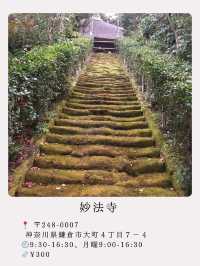 【鎌倉】絶景！マストで行きたい映える寺院と神社