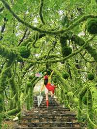 🌿 Tangli Leyou Valley · Dalian Guide