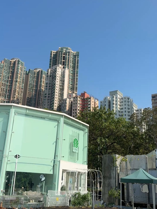 Kennedy Town – ฮ่องกง