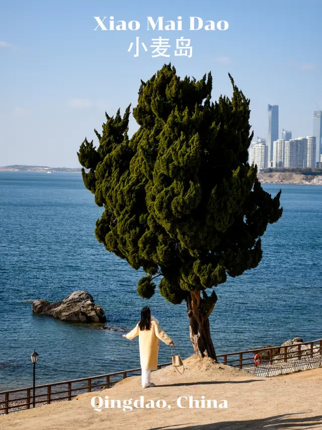 Qingdao Seaside Park 🏝️🇨🇳
