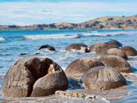 Stones from the Sea: My Solo Trip to the Moeraki Boulders