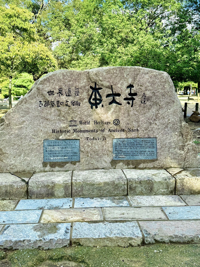 🗓 나라공원 당일치기 코스