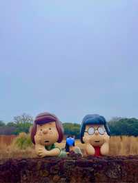제주에서 만난 특별한 하루, 스누피가든 & 승마체험 🐴🌿