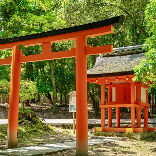 大洲神社:紅色鳥居下的靜謐🚪✨ 大洲神社:紅色鳥居下的靜謐🚪✨
