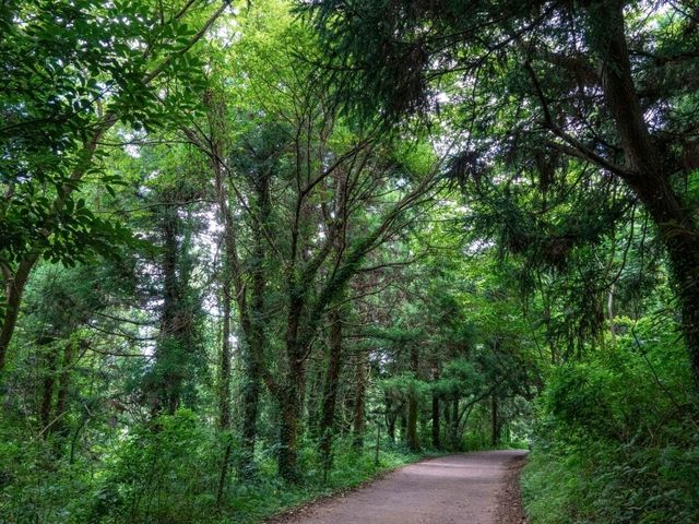 🌿 금악오름 – 제주 자연의 숨결을 느끼다