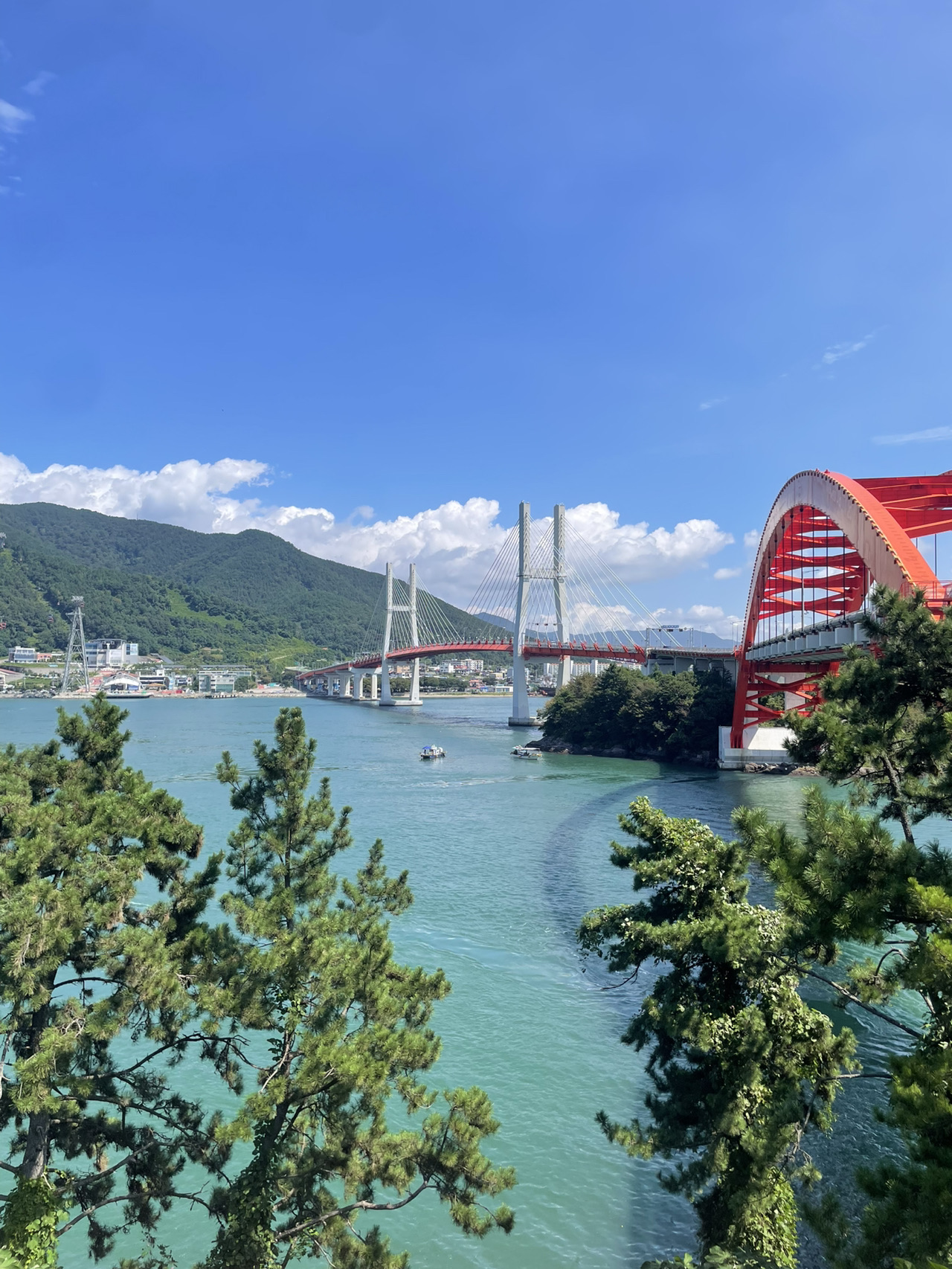 Aramaru Aquarium – A Large Aquarium in Sacheon Perfect for Family Visits